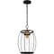 Quoizel Thyme Outdoor Mini Pendant 1 Light Earth Black THY1511EK - alternate 1